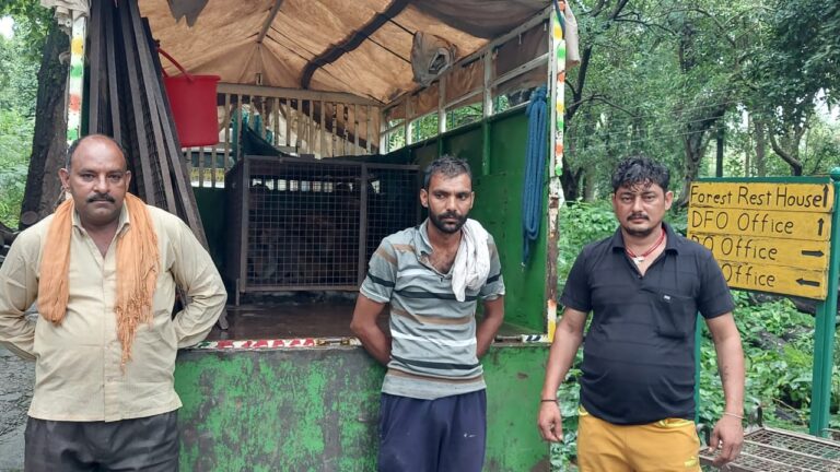 पांवटा शहर से पकड़े 116 बंदर…बंदरों के आतंक से मिलेगी मुक्ति…