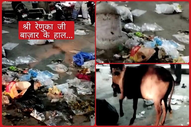 श्री रेणुका जी (ददाहू) बाजार की शर्मिंदा करती तस्वीरें…