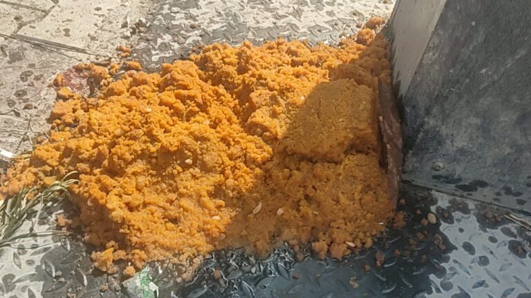पांवटा गर्ल्स स्कूल के बाहर बिखरा पड़ा है बच्चों का खाना…सड़क में फैली गंदगी का अंबार…
