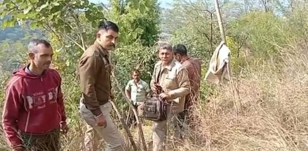 देर रात चंदन के 8 पेड़ों पर चली कुल्हाड़ी….. मामला दर्ज