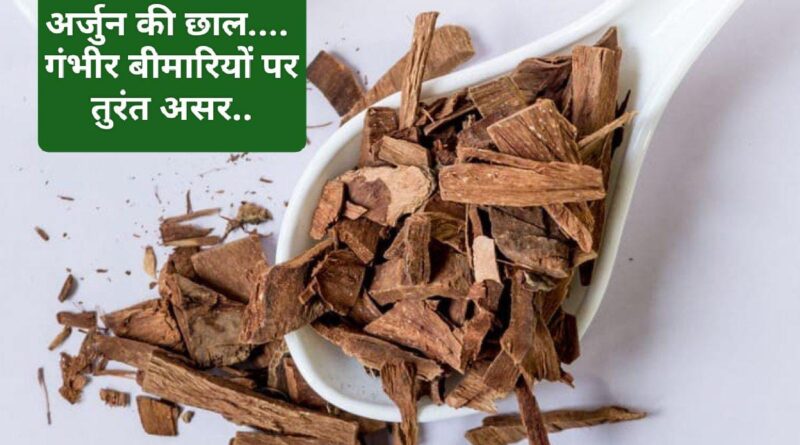क्या होता है अर्जुन की छाल में इतनी गंभीर बीमारियों पर सीधे पड़ता है असर…