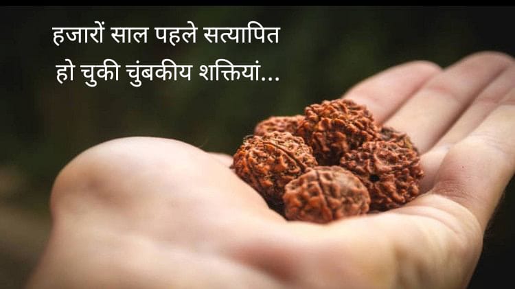 पढ़िए रुद्राक्ष में क्या वाकई होती हैं अद्भुत वैज्ञानिक शक्तियां….