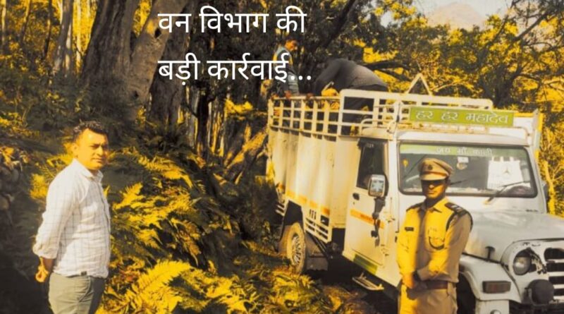वन विभाग को मिली बड़ी सफलता…फर्न से लदे पिकअप से वसूला 92 हजार का जुर्माना…