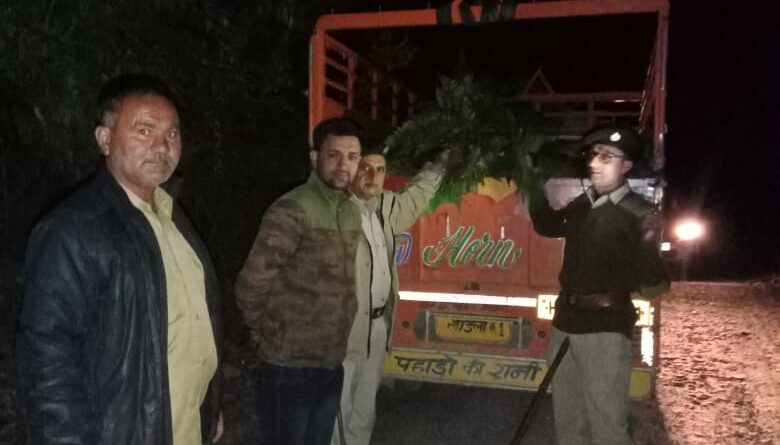 ददाहू पकड़ी फर्न से लदी पिकअप…35 हजार वसूला जुर्माना…