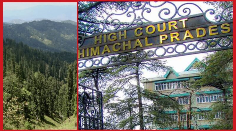 हिमाचल हाईकोर्ट नदी खैर के पेड़ों को काटने की अनुमति..