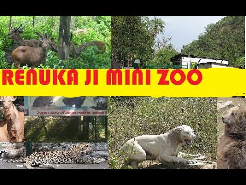 जू घूमने के लिए बैटरी संचालित वाहन और 10 साइकिल होंगी संचालित…