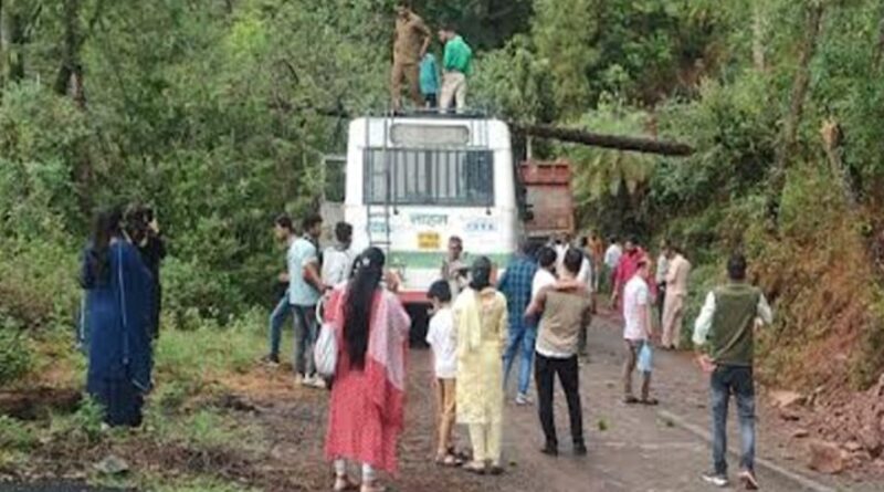 श्री रेणुका जी ददाहू आ रही एचआरटीसी बस पर गिरा चीड़ का पेड़…