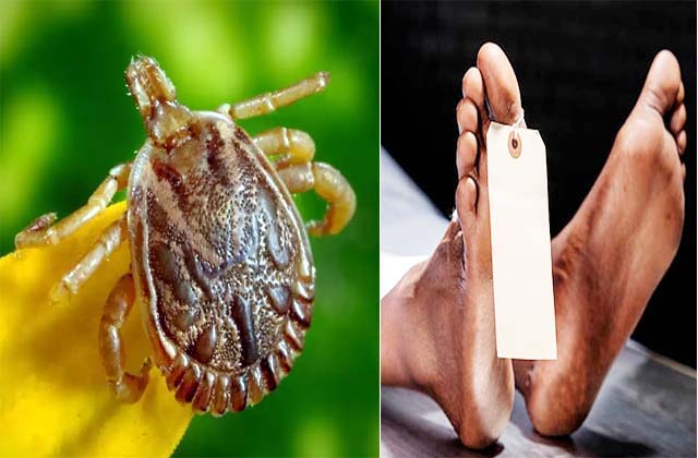 स्क्रब टायफस से एक और व्यक्ति की मौत…आंकड़ा पहुंचा 8 तक