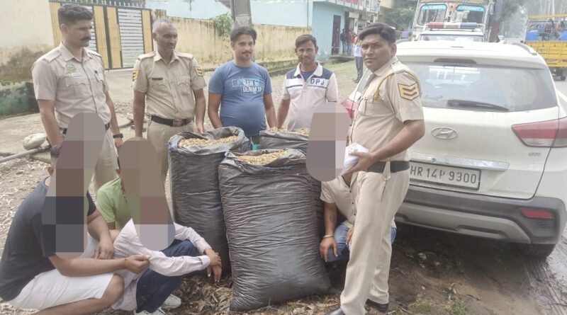 पांवटा पुलिस को बड़ी कामयाबी…चार व्यक्तियो से 54 किलो से अधिक चूरा पोस्त बरामद….