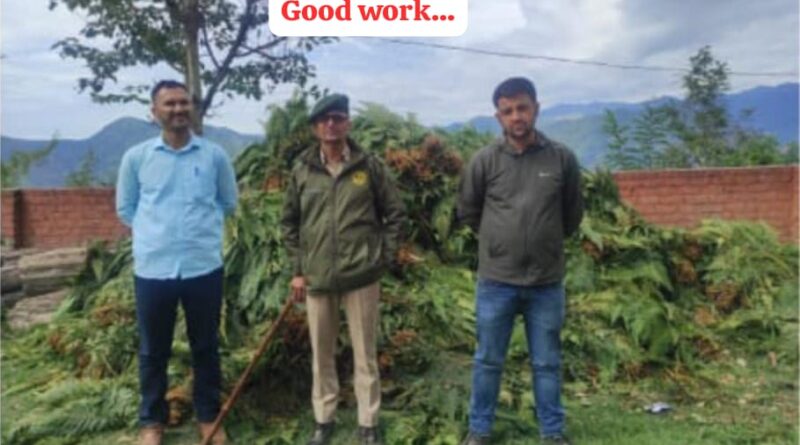 जंगली फर्न से भरी पिकअप जब्त…लगाया 83000 जुर्माना…