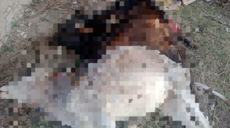 तेंदुए ने गाय व दो बछड़ों को बनाया निवाला,फार्मासिस्ट ने किया घटनास्थल का दौरा