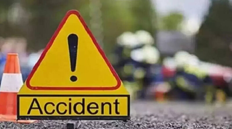 वाहन की चपेट में आने से सांभर की मौत…. चालक गंभीर जख्मी