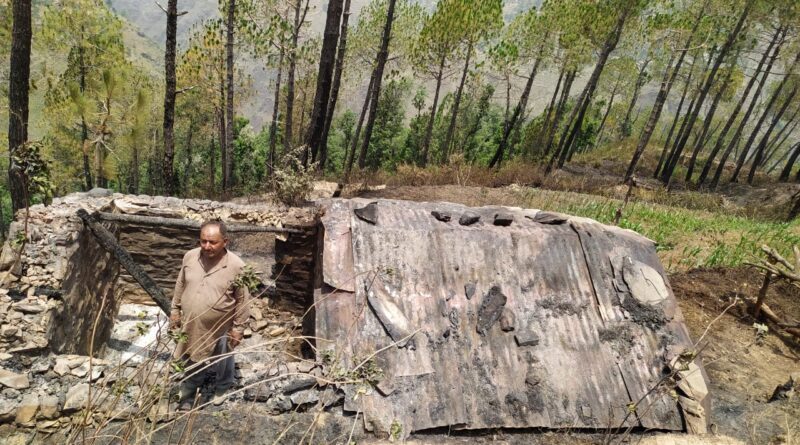जंगल में लगी आग से टुहेरी गांव मे राख हुई पशुशाला 
