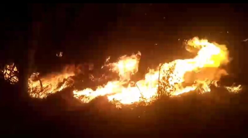 पड़ोसी द्वारा लगाई गई आग से लाखों की अखरोट की फसल स्वाह….