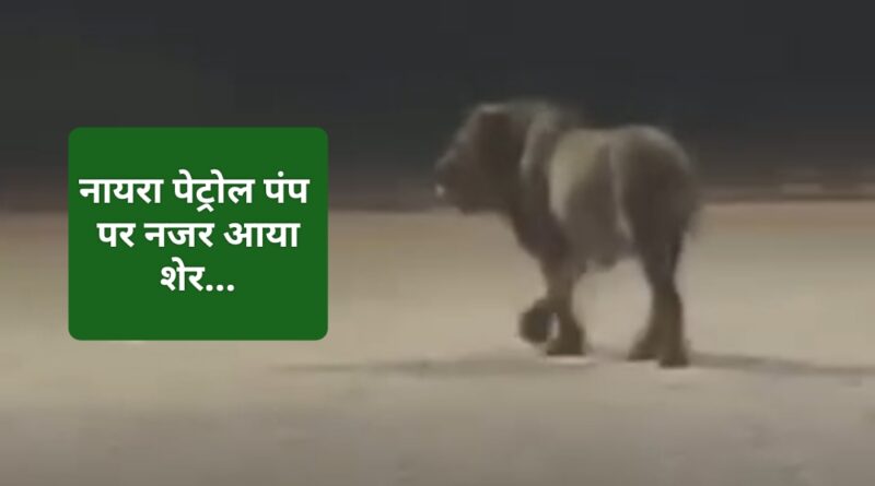 Himachal Pradesh के पांवटा साहिब में दिखाई दिया शेर…भय का माहौल…जानिए क्या है सच..