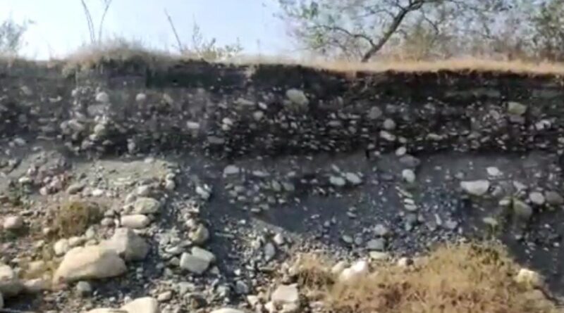 वन विभाग की बड़ी कार्रवाई ….एक करोड़ से अधिक का वसूला जुर्माना…
