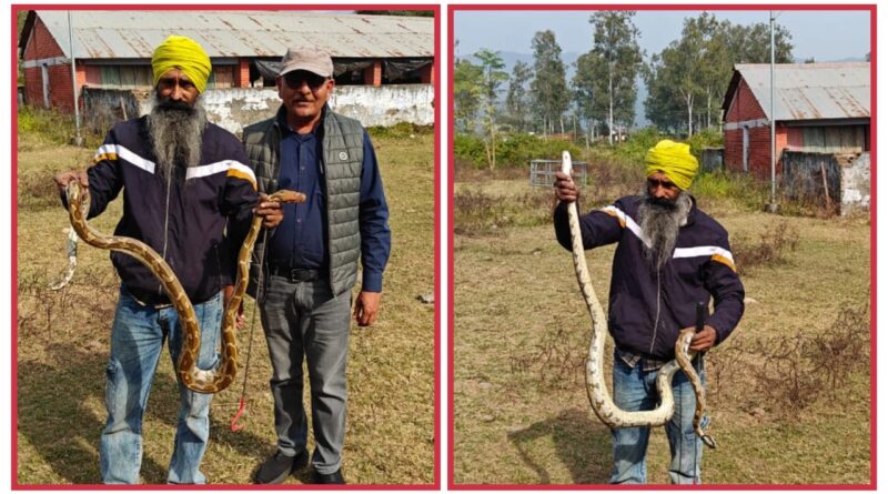 कृषि विभाग केंद्र धौला कुआं में घुसा इंडियन रॉक पाइथन…स्नेक मैन ने किया रेस्क्यू… रोचक जानकारियां