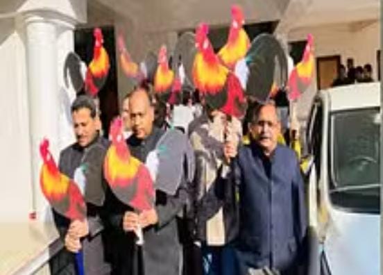 जंगली मुर्गे को लेकर फिर तपा तपोवन….भाजपा कांग्रेस दोनों अपने-अपने मुद्दों को लेकर धरने पर….