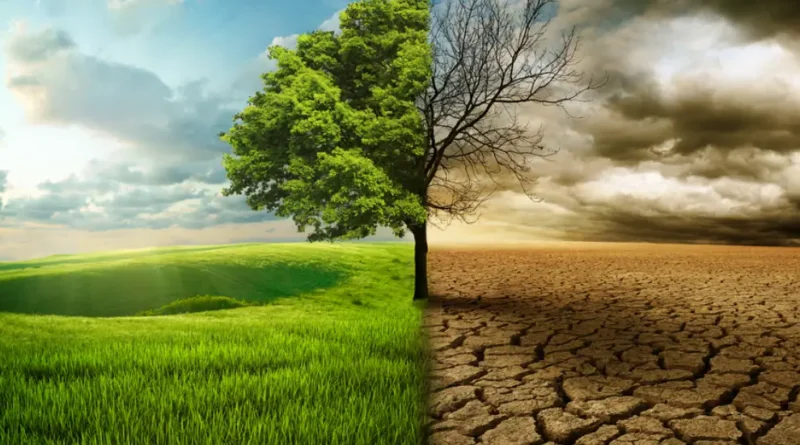 हिमाचल प्रदेश सूखे की चपेट में…सूखी ठंड बढ़ा सकती है मुसीबत…