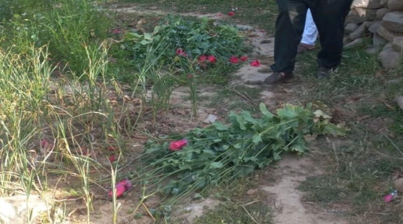 यहां की जा रही थी अफीम की अवैध खेती पुलिस ने किया एक व्यक्ति को गिरफ्तार….