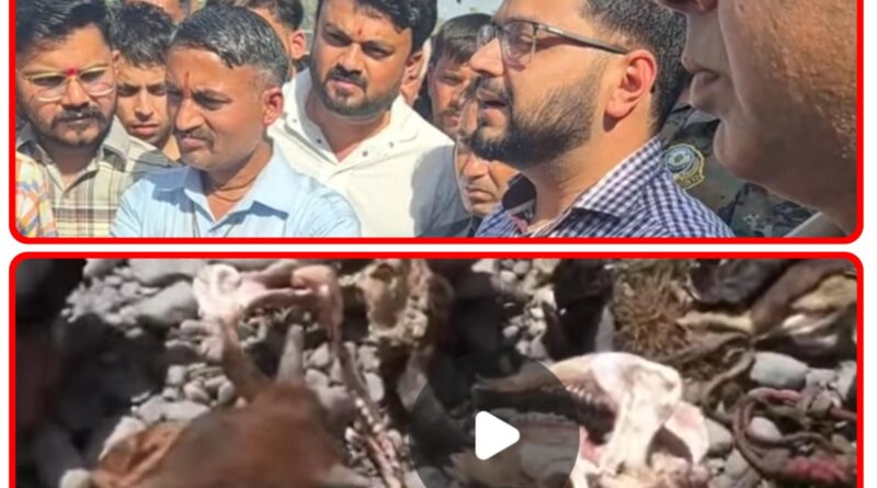 गोवंश हत्या मामले में पुलिस ने दो लोगों को लिया हिरासत में…तीन पूछताछ के लिए बिठाए