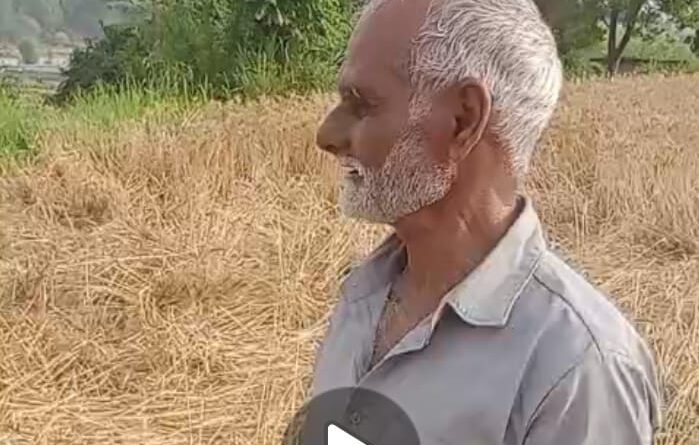 पांवटा साहिब में हाथियों ने फिर किया फसलों को बर्बाद…