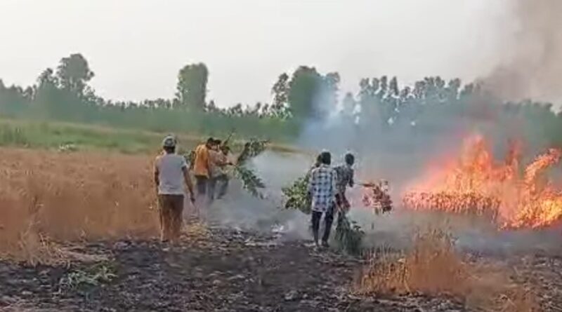 पांवटा साहिब में खेतों में भड़की आग…लोगों ने जान पर खेल कर यूं बचाई अपनी फ़सल…