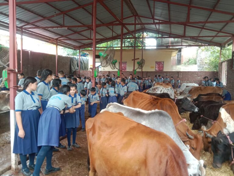 चरित्र ,संस्कार और उच्चकोटि की शिक्षा हमारा लक्ष्य… स्कूली बच्चों ने कि गौं सेवा…